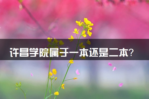 许昌学院属于一本还是二本？2025年报考建议及分数线预测