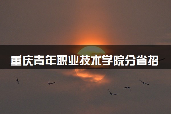 重庆青年职业技术学院分省招生人数及招生专业2025年招生计划参考