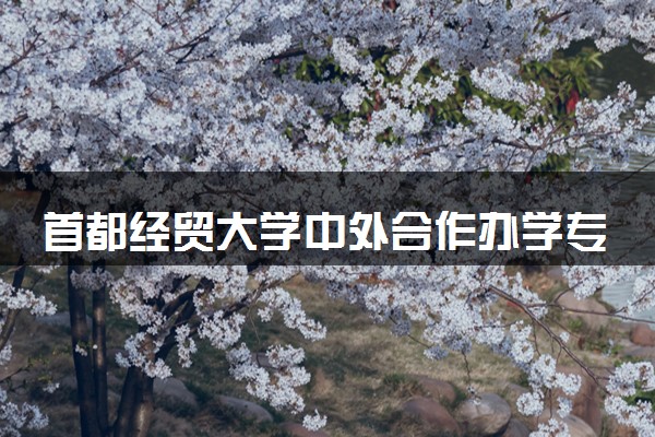 首都经贸大学中外合作办学专业有什么 好不好