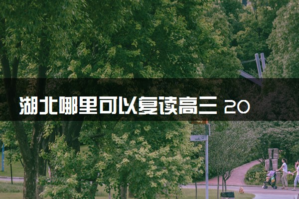 湖北哪里可以复读高三 2025高考复读学校名单