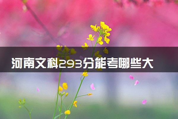 河南文科293分能考哪些大学 2025考生稳上的大学名单