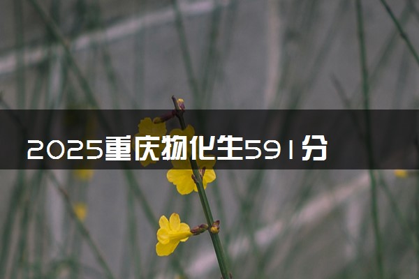 2025重庆物化生591分左右能上什么大学 可以报考的院校名单