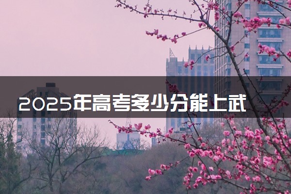 2025年高考多少分能上武汉铁路职业技术学院？预测各省份录取分数线（附2024年数据及报考指南）