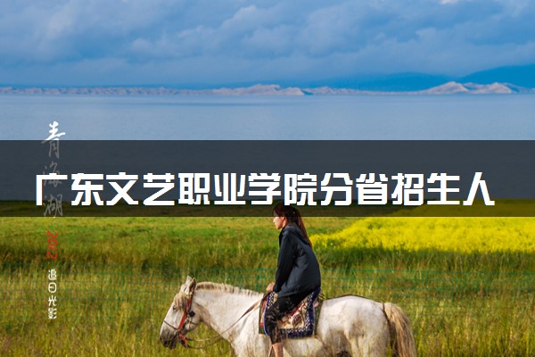 广东文艺职业学院分省招生人数及招生专业2025年招生计划参考