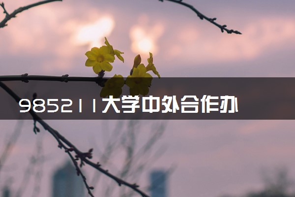 985211大学中外合作办学一览表 分数线是多少（2025参考）
