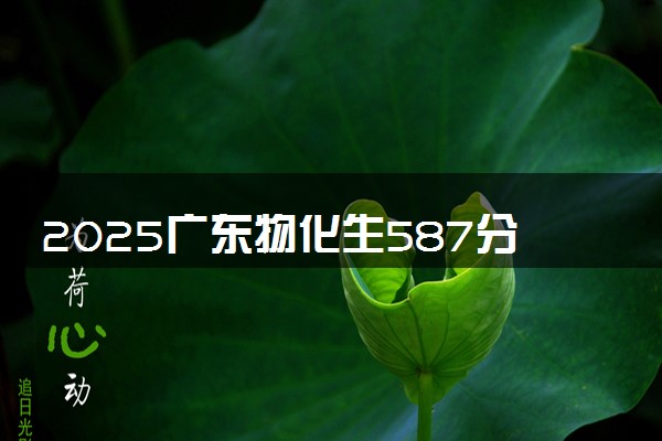 2025广东物化生587分左右能上什么大学 可以报考的院校名单