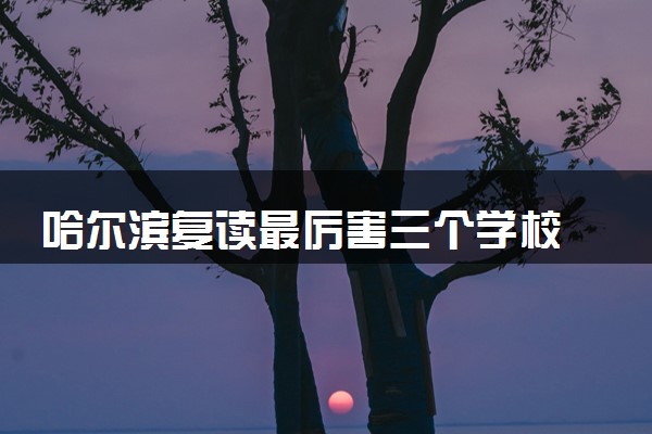 哈尔滨复读最厉害三个学校 高考复读哪家机构好