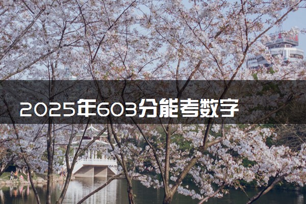 2025年603分能考数字经济专业吗 603分数字经济专业大学推荐