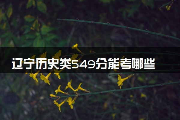 辽宁历史类549分能考哪些大学 2025考生稳上的大学名单