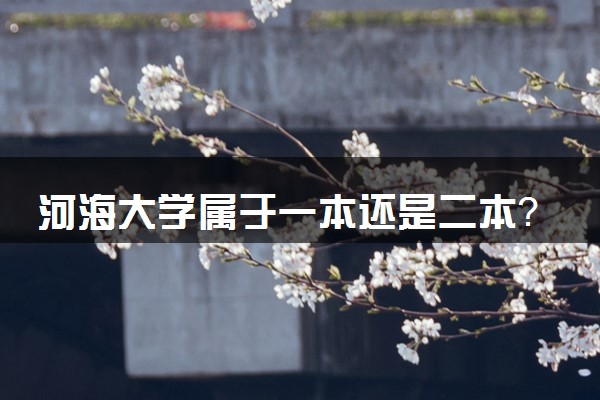 河海大学属于一本还是二本？本科一批、二批的区别及报考建议