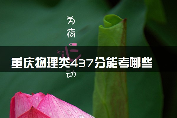 重庆物理类437分能考哪些大学 2025考生稳上的大学名单