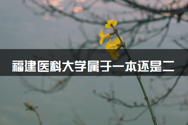 福建医科大学属于一本还是二本？2025年报考建议及分数线预测