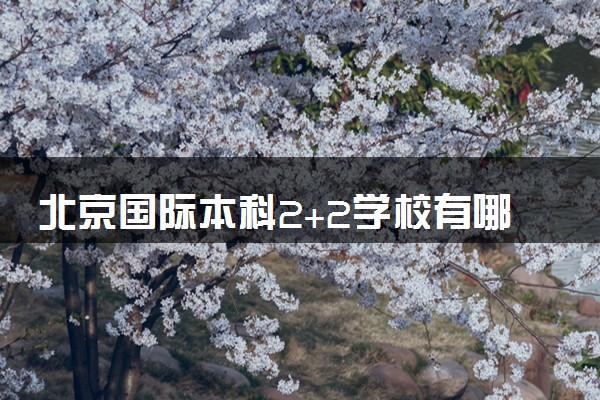 北京国际本科2+2学校有哪些 哪个大学最好