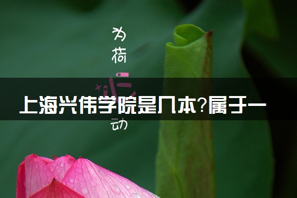 上海兴伟学院是几本？属于一本还是二本？2025年分数线预测及报考建议