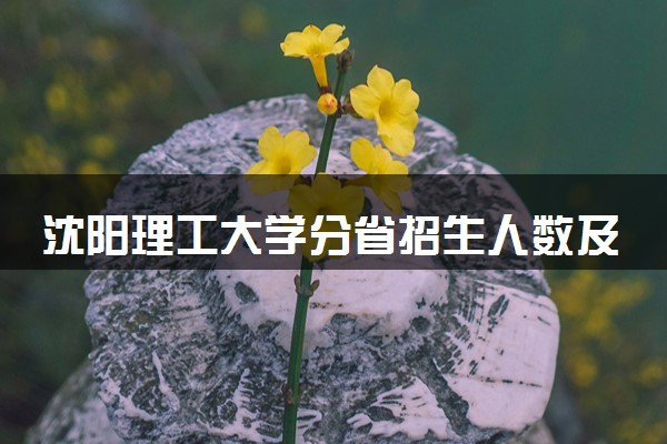 沈阳理工大学分省招生人数及招生专业2025年招生计划参考