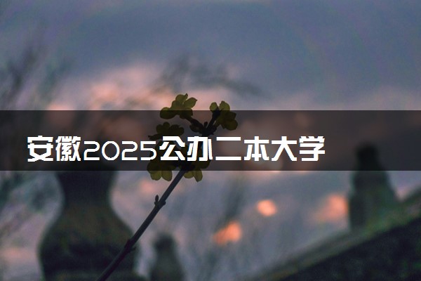 安徽2025公办二本大学 附前十名学校名单及分数线