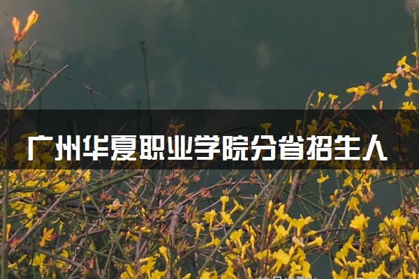 广州华夏职业学院分省招生人数及招生专业2025年招生计划参考