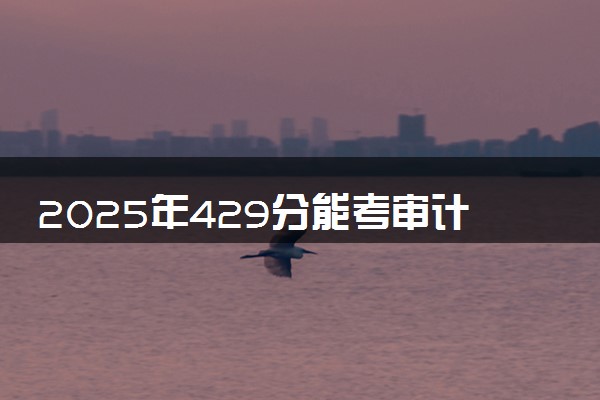 2025年429分能考审计学专业吗 429分审计学专业大学推荐