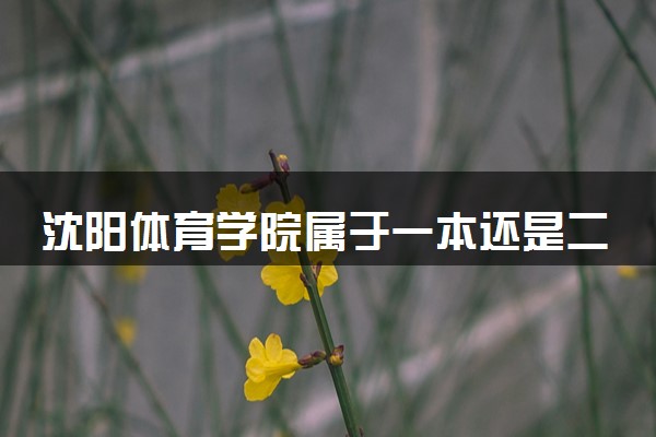 沈阳体育学院属于一本还是二本？2025年报考建议及分数线预测