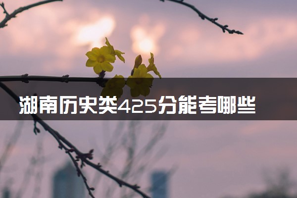 湖南历史类425分能考哪些大学 2025考生稳上的大学名单