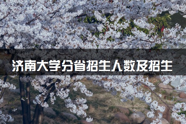 济南大学分省招生人数及招生专业2025年招生计划参考