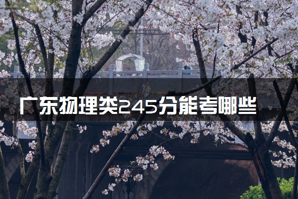 广东物理类245分能考哪些大学 2025考生稳上的大学名单