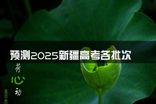 预测2025新疆高考各批次分数线 最低多少分可以上大学