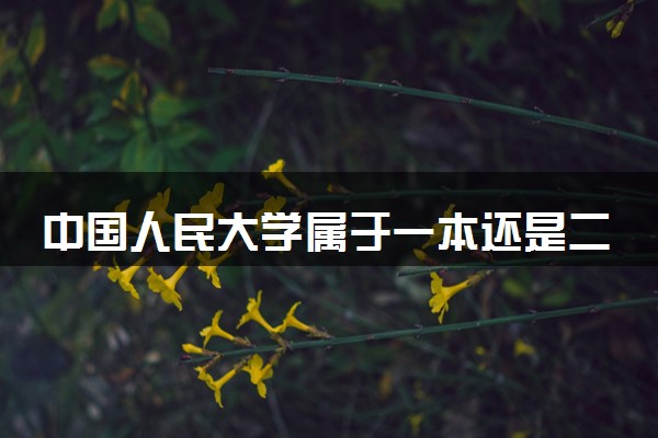 中国人民大学属于一本还是二本？本科一批、二批的区别及报考建议