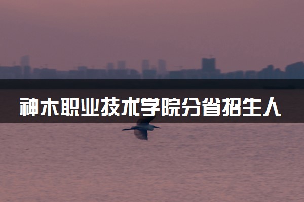 神木职业技术学院分省招生人数及招生专业2025年招生计划参考