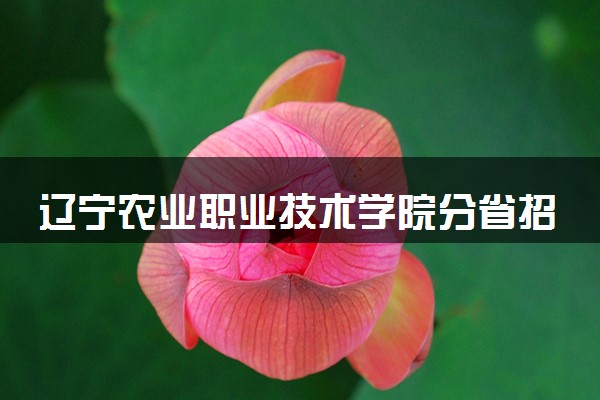 辽宁农业职业技术学院分省招生人数及招生专业2025年招生计划参考