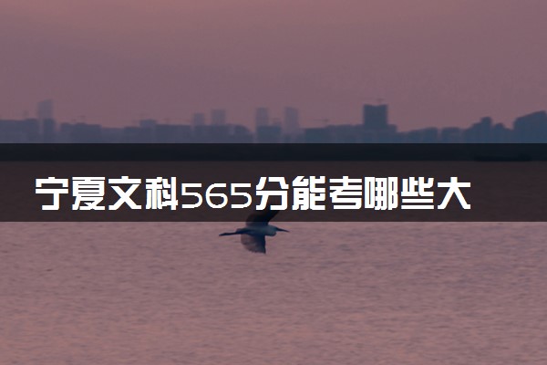 宁夏文科565分能考哪些大学 2025考生稳上的大学名单