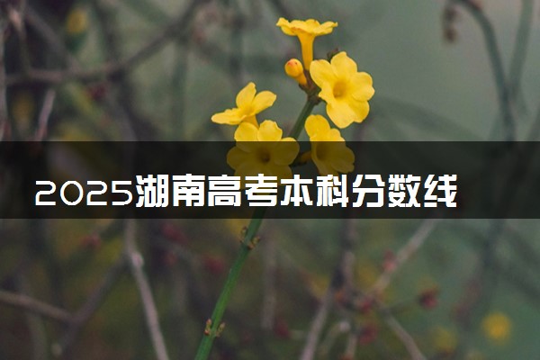 2025湖南高考本科分数线预测 附最低录取分预估