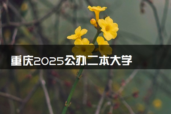 重庆2025公办二本大学 附前十名学校名单及分数线
