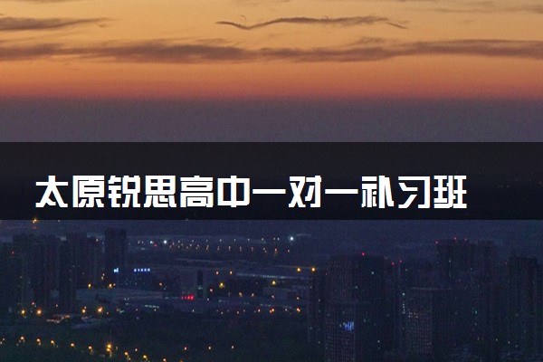 太原锐思高中一对一补习班