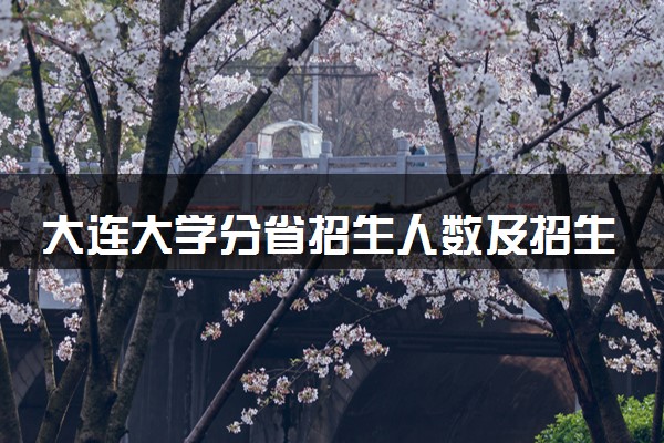 大连大学分省招生人数及招生专业2025年招生计划参考