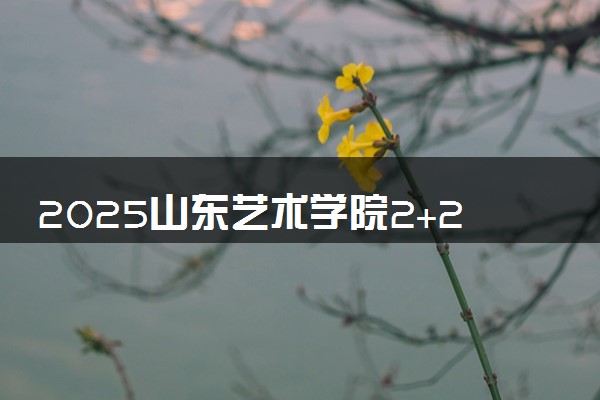 2025山东艺术学院2+2国际本科报名要求 流程步骤