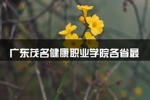 广东茂名健康职业学院各省最低录取分数线及位次排名 2025考多少分能上广东茂名健康职业学院