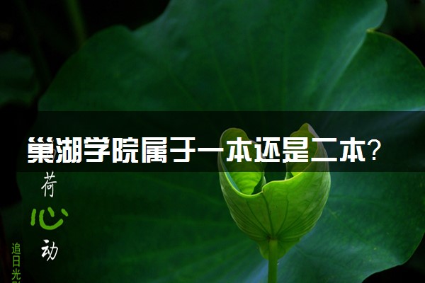 巢湖学院属于一本还是二本？本科一批、二批的区别及报考建议