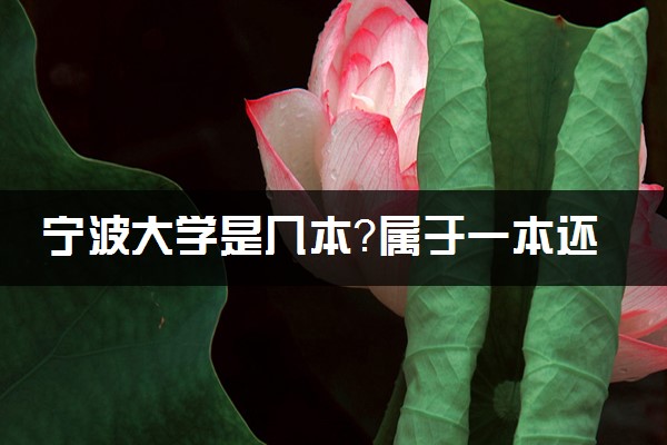 宁波大学是几本？属于一本还是二本？2025年分数线预测及报考建议