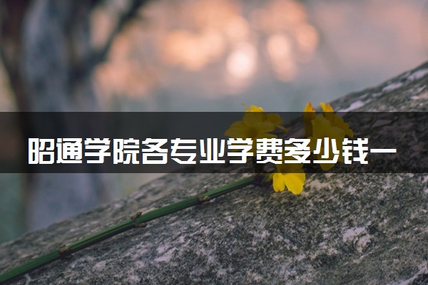昭通学院各专业学费多少钱一年 收费标准是什么
