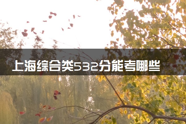 上海综合类532分能考哪些大学 2025考生稳上的大学名单