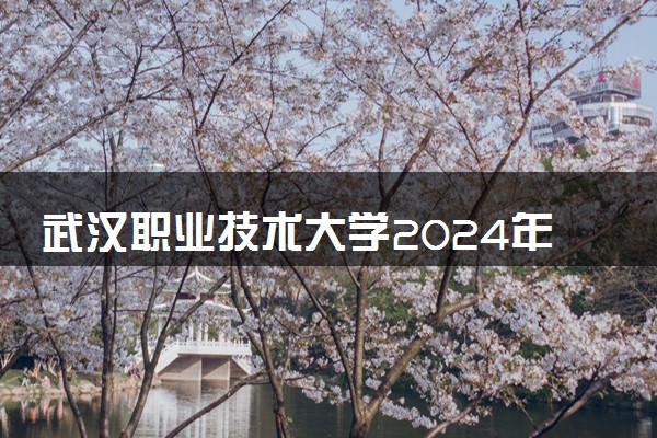 武汉职业技术大学2024年各省录取分数线 多少分能考上