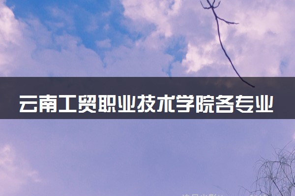 云南工贸职业技术学院各专业学费多少钱一年 收费标准是什么