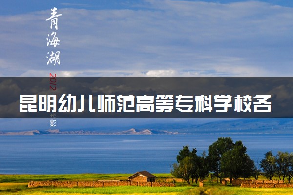 昆明幼儿师范高等专科学校各专业学费多少钱一年 收费标准是什么