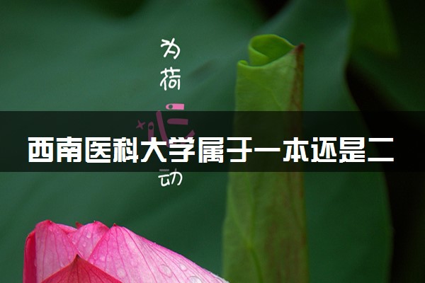 西南医科大学属于一本还是二本？本科一批、二批的区别及报考建议