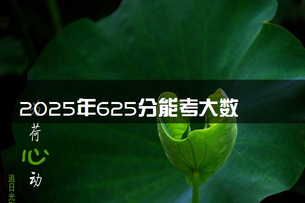 2025年625分能考大数据管理与应用专业吗 625分大数据管理与应用专业大学推荐
