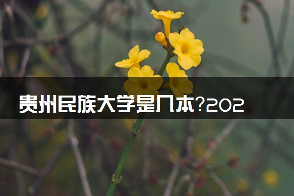 贵州民族大学是几本？2025年各省录取分数线预测及报考建议