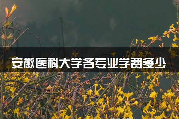 安徽医科大学各专业学费多少钱一年 收费标准是什么