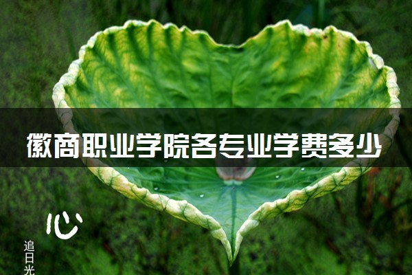 徽商职业学院各专业学费多少钱一年 收费标准是什么