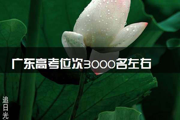 广东高考位次3000名左右报什么大学好（2025年参考）